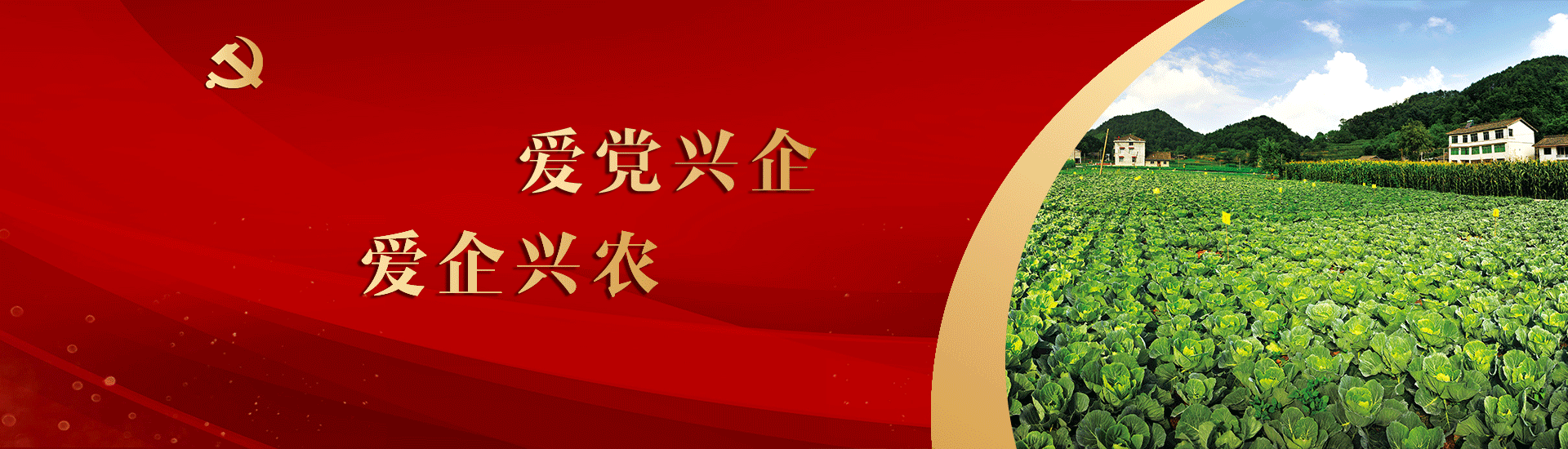 爱党兴企爱企兴农