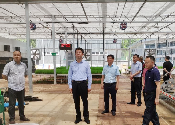<b>市政府副市长李昱隆调研秧苗繁育中心</b>