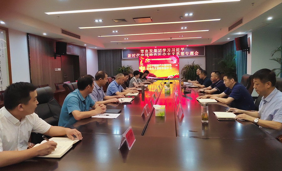 <b>学习贯彻习近平新时代中国特色社会主义思想暨“创文”工作再安排部署专题会</b>