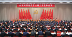 中共四川省委十一届十次全会公报