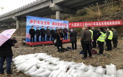 市渔业公司积极开展嘉陵江上游冬季增殖放流