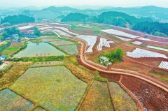 遂宁高标准农田建设全省示范
