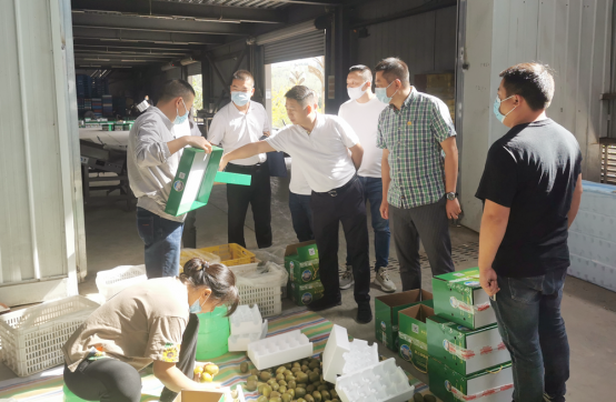 <b>市农发集团与重庆璧臻选科技公司开展合作洽谈</b>