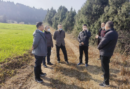 <b>聚焦项目建设，确保首季“开门红”</b>