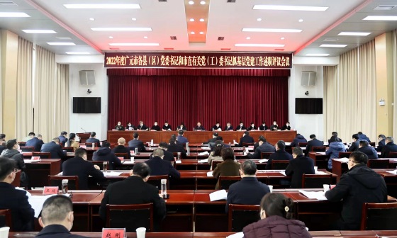 何树平：牢固树立大抓基层的鲜明导向 推动基层党组织全面进步全面过硬