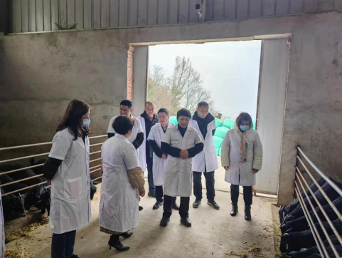 农业农村部肉羊遗传改良计划专家委员会专家张红平来广考察“天府肉羊”项目