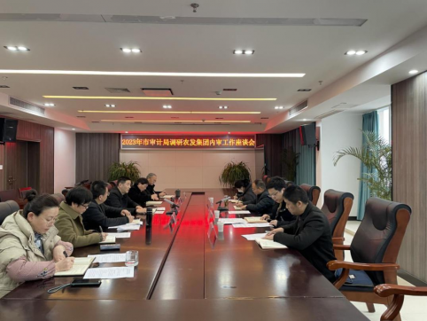 <b>市审计局领导调研指导市农发集团内审工作</b>
