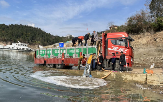 <b>亭子湖投放鱼苗 保护水域生态</b>