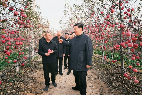 习近平：加快建设农业强国 推进农业农村现代化