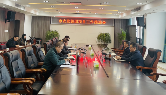 <b>市农发集团召开项目推进工作会</b>