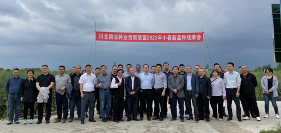 <b>广元种业集团当选川北粮油种业创新联盟第一届理事单位</b>