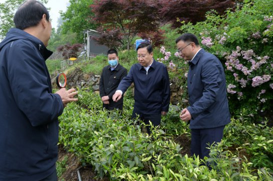 王晓晖在资阳市绵阳市广元市开展专题调研时强调 把解决好“三农”问题作为