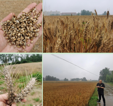 急民众之急，解民众之忧， 市粮油（集团）用实际行动践行国企责任担当