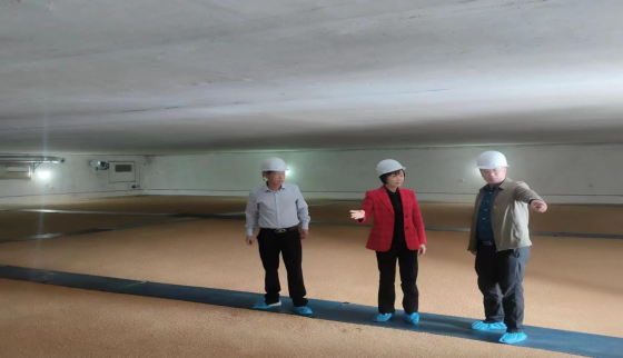 市国资委工会主席贾天秀到粮储公司 开展纪委书记“盯粮库”督导检查