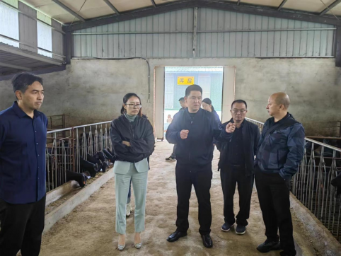 朝天区委副书记郭蕾调研种业集团种羊繁育基地