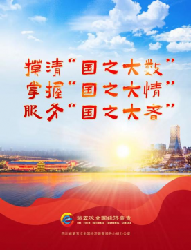 摸清国之大数  服务国之大者