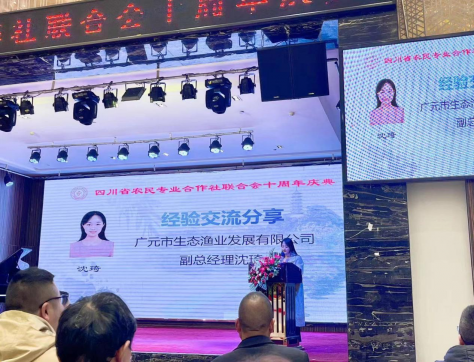 忆往昔峥嵘岁月 展未来砥砺前行