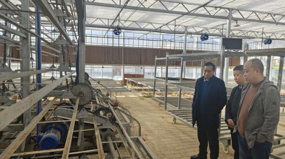 <b>甘炳成莅临市秧苗繁育中心调研考察</b>