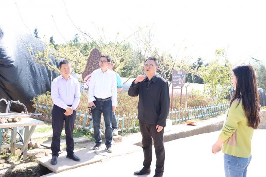 <b>市投发集团董事长饶冬果调研指导农发集团特色产业发展工作</b>