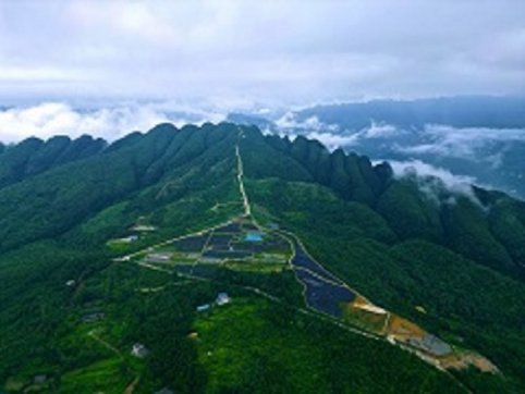 <b>迎莘莘学子，赴春日茶叙——剑门蜀道茶叶生态公园迎千名学子研学之旅</b>