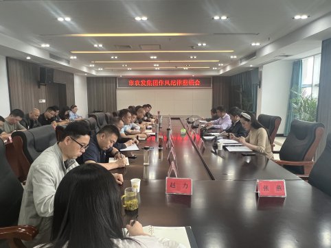 <b>市农发集团召开作风纪律整顿会</b>