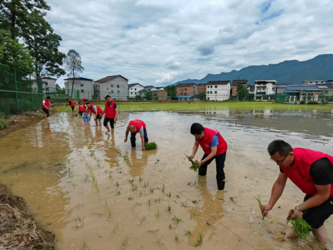 <b>种业公司开展“弘扬劳动精神，凝聚奋进力量” 主题党日活动</b>