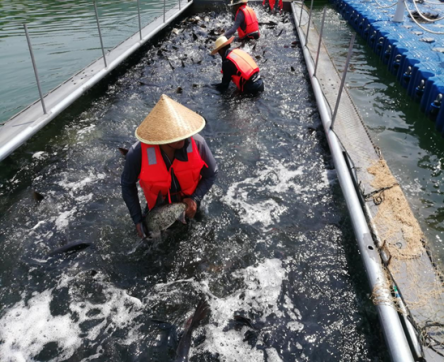 <b>亭子湖全面开展捕捞生产，喜迎开门红</b>