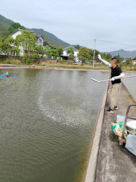 市水产科技示范园泥鳅养殖项目正式启动