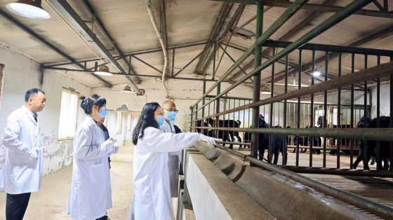 聚焦种羊健康养殖 提升生产技术水平——广元农发种业专题培训会成功举办